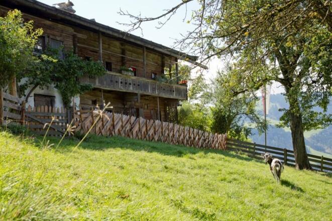Hechahof Zimmermoos