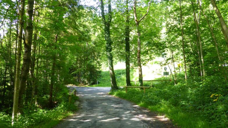 rechts abbiegen in den Höhenweg Richtung Holz/Gmund