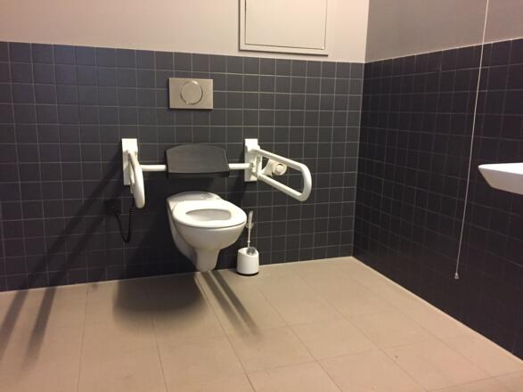 Rollstuhl-WC nach DIN beim Walderlebniszentrum