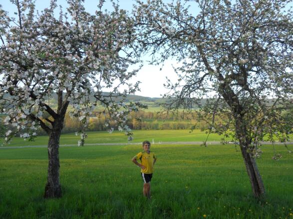 Obstgarten