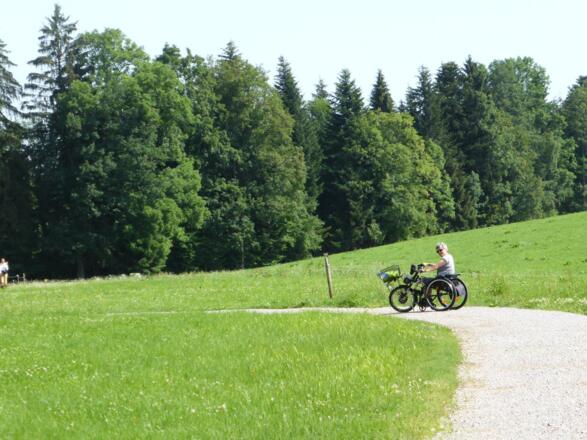Am Höhenweg kurz vor Holz