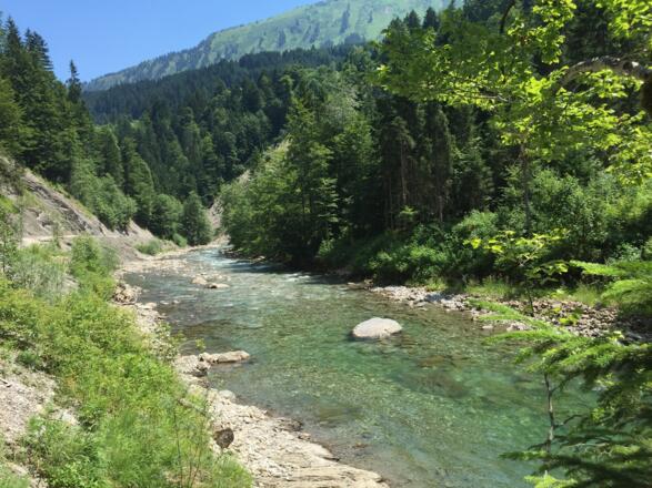 Ruhig plätschert die Breitach hier durch das Kleinwalsertal