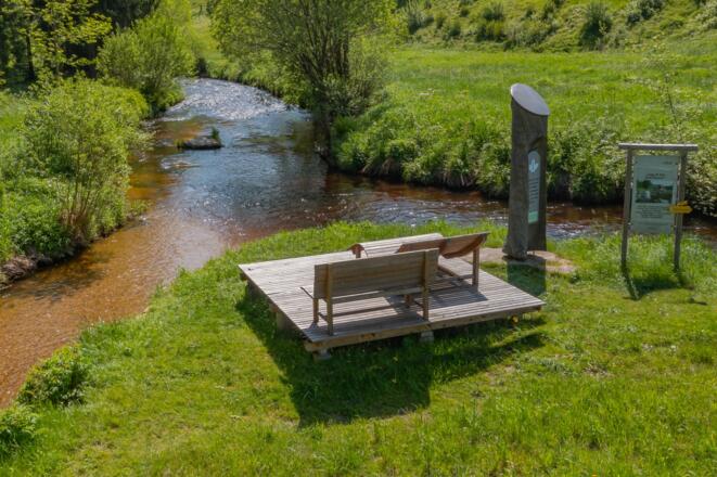 Zwischenstromwiese in Weitersfelden