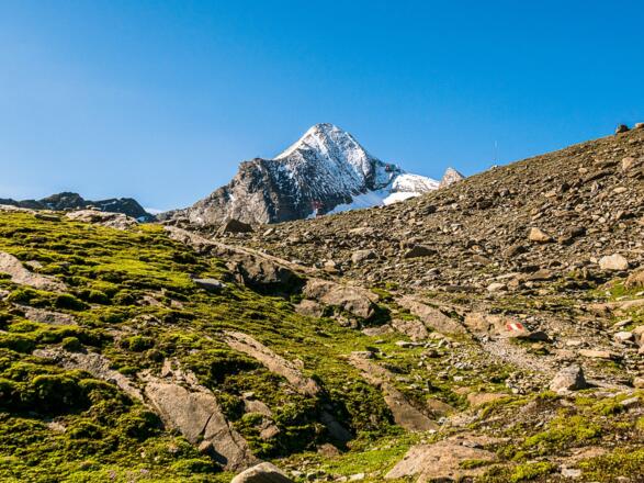 Blick auf das Kitzsteinhorn