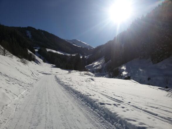 Rodelstrecke Faulbaumgartenalm Inneralpbach
