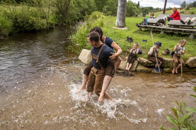 Weitersfelden, Zwischenstromwiese