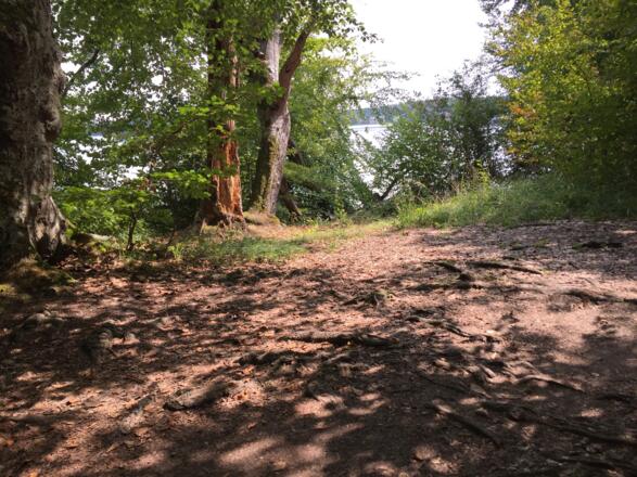 Weg schlecht bei Bachern