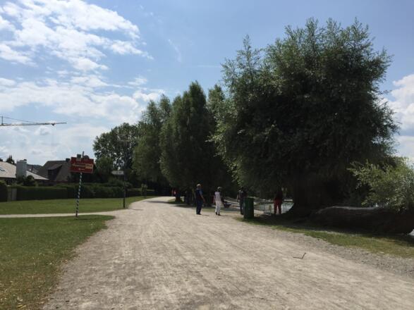 Restaurant Ammerseeblick, Rollstuhl-WC