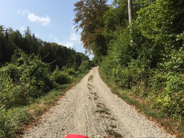 Steil, Richtung Wörthsee. Hier musste ich am Greifreifen schieben.