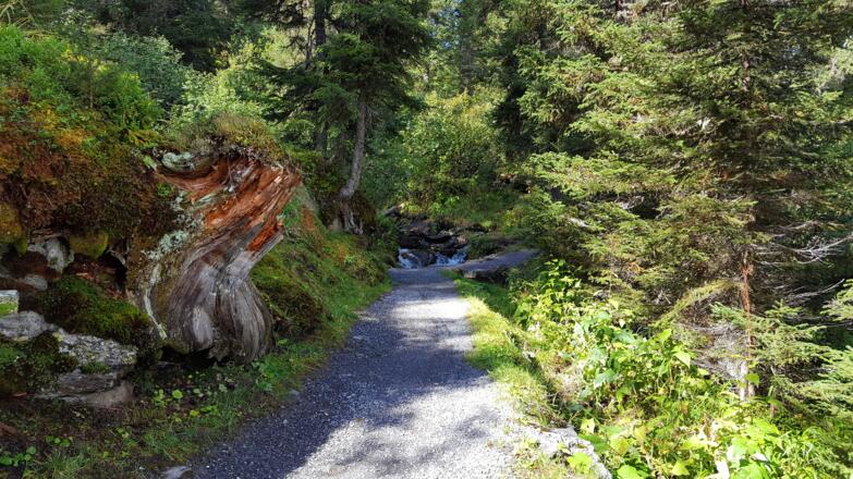 Phantastisch schöner Weg am See entlang ...