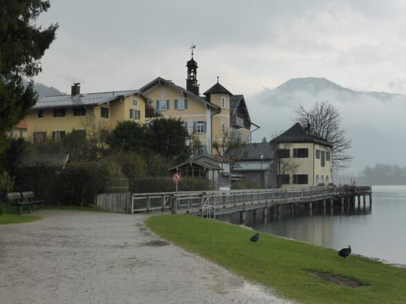 Ab Tegernsee wieder ruhig am See entlang
