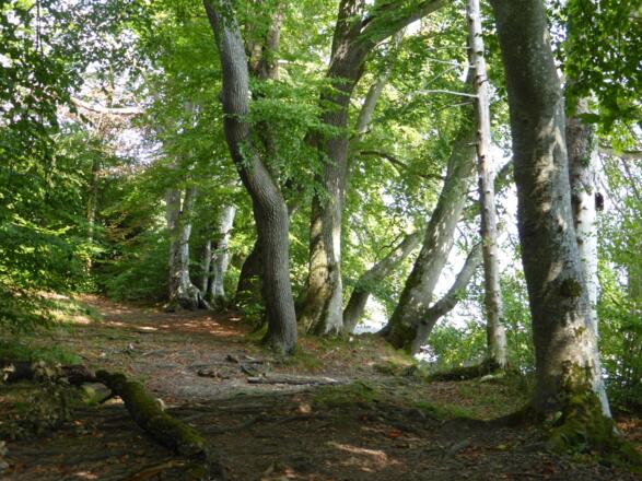 Radweg Bachern-Seefeld, Hier besser umdrehen