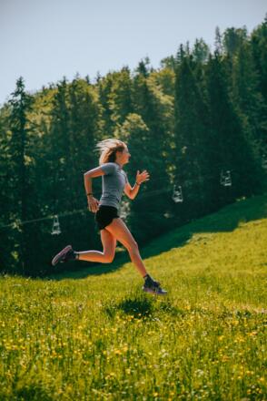 Endspurt Richtung Wald