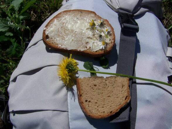 Kräuterwanderung