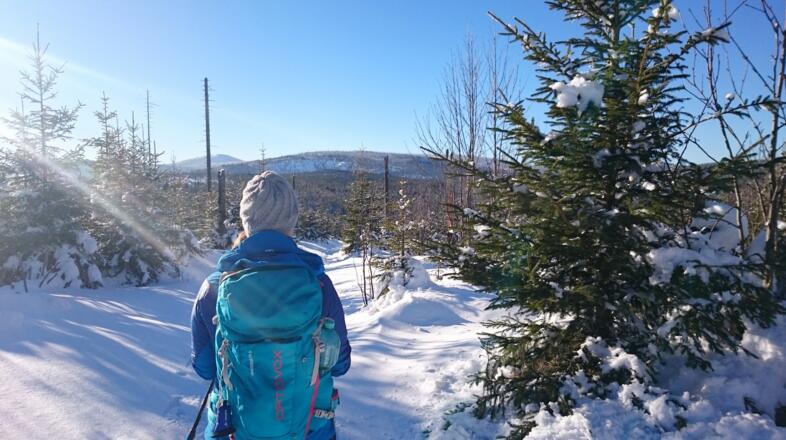 Schneeschuhwandern
