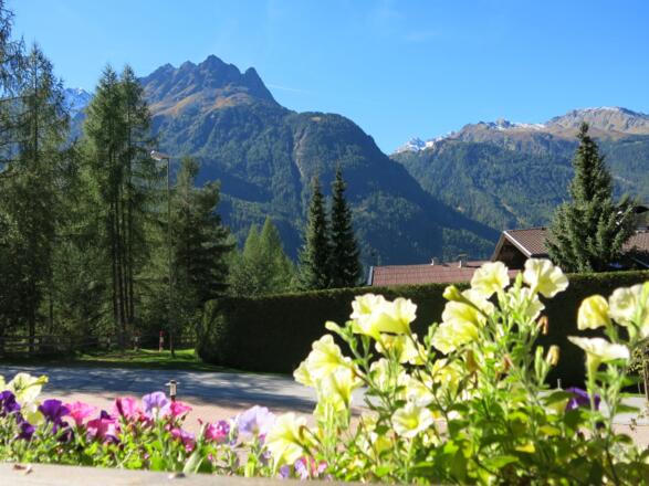 Aussicht  vom Balkon