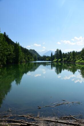 Auwaldsee