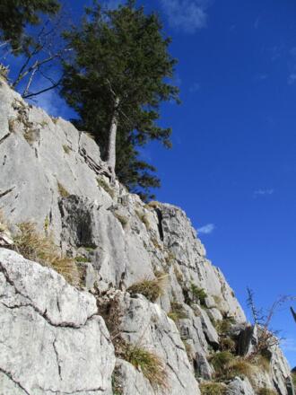 Die Schlüsselstelle. Kletterei im I. Grat