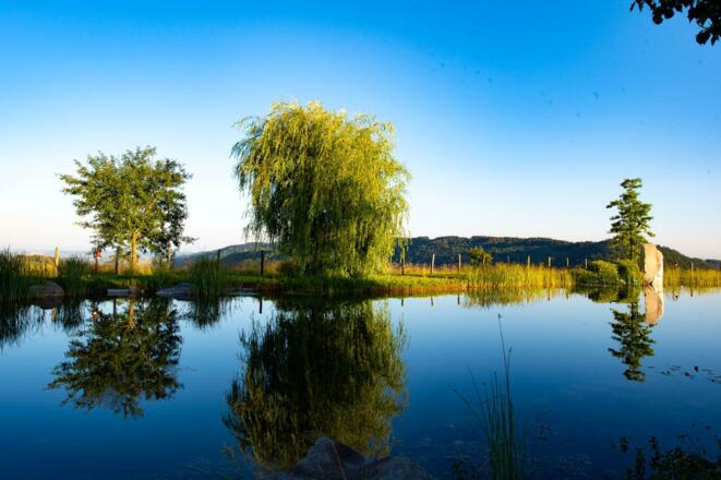 Teich mit Weitblick