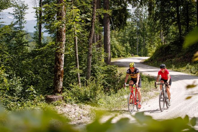 Weißenbachtal bei Bad Goisern
