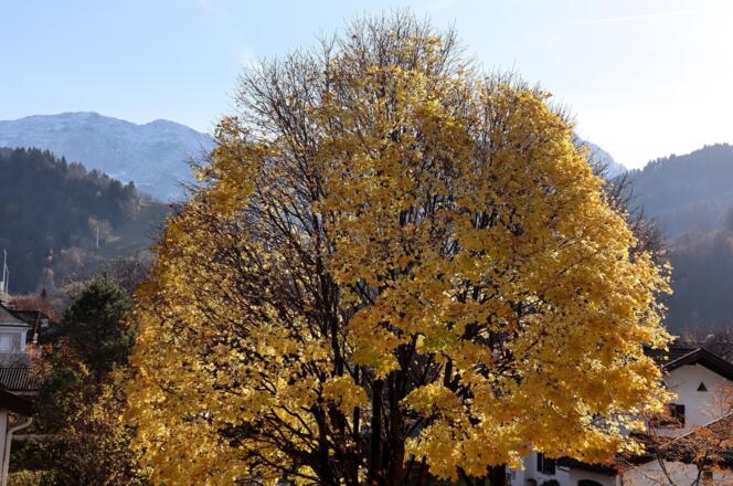Ausblick Balkon Wettersteingebirge
