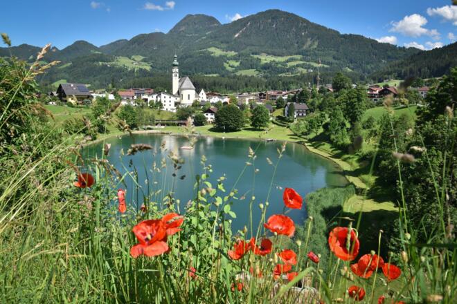 Reither See