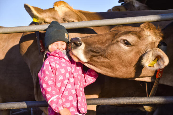 Tierliebe