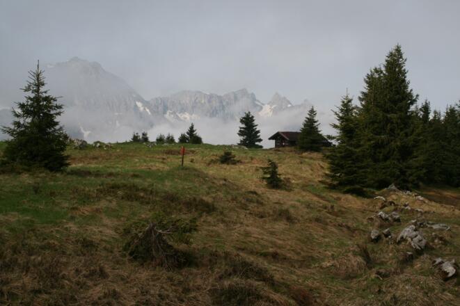 Die Hirschwangalm - ein wunderschöner Platz
