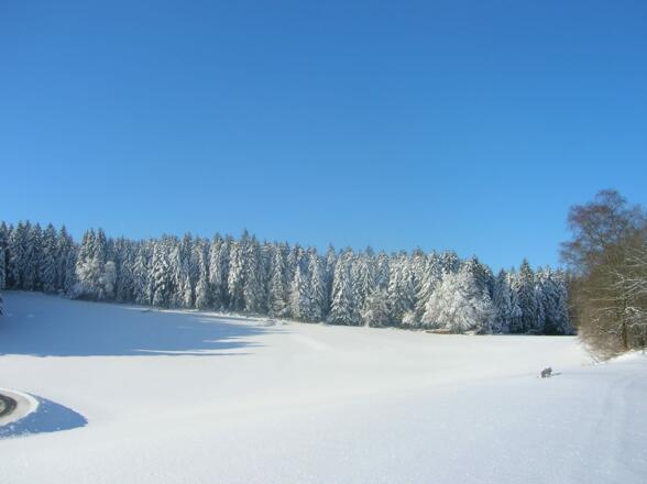 Winterliche Aussichten