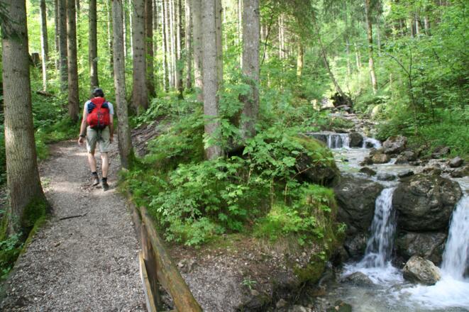 Wenige Minuten nach dem Start führt die Wanderung genussreich entlang eines Baches und durch einen schattenspendenden Wald.