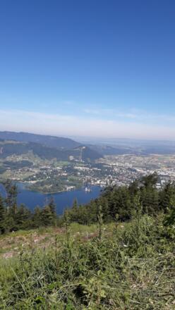 Blick vom Grünberg   Schloss Ort