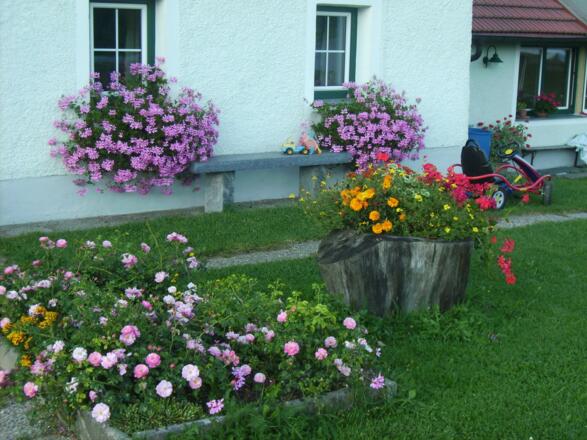 Unsere Blumenpracht