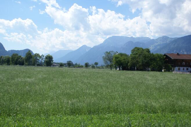 Ausblick
