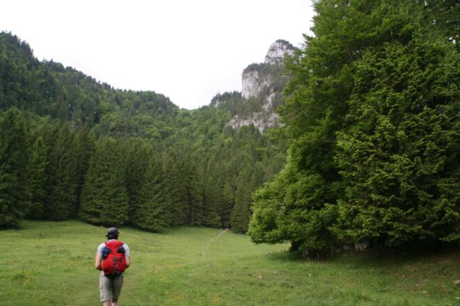 Über das Feld und anschließend durch den Mischwald führt der Steig zum Sattel.