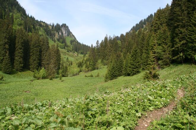 Der Blick schweift durch das Sägertal zurück zum Bäckenalmsattel.