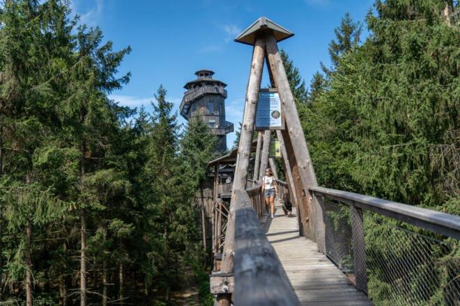 Baumkronenweg