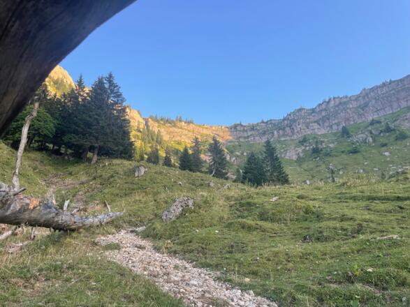 Brunnenauscharte mit Nagelfluhfelsen