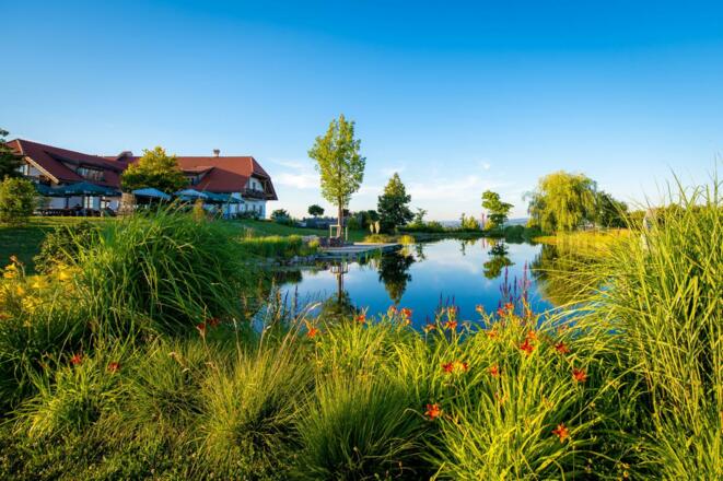 Teich