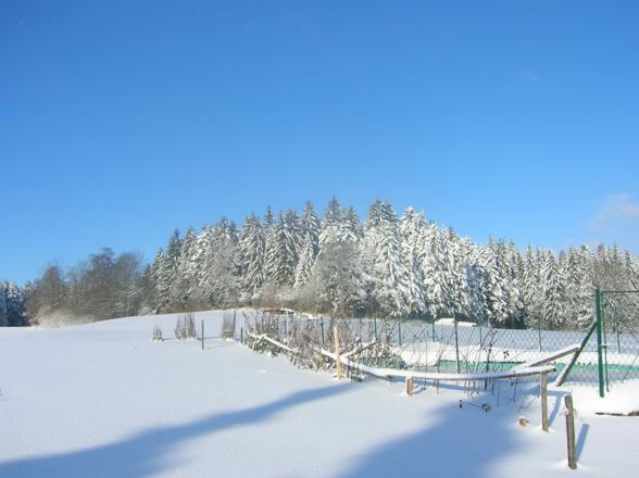 Winterlandschaft