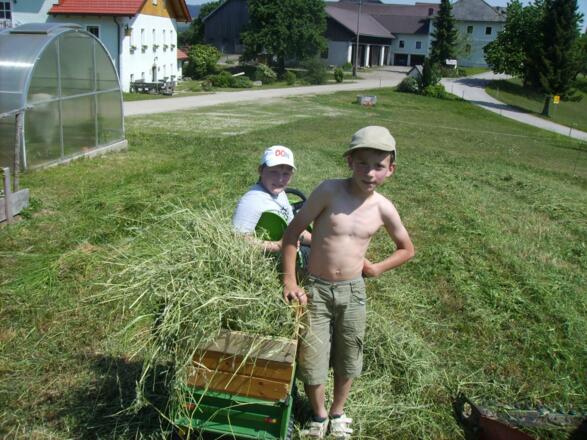 Andreas und Julian bei der Heuernte