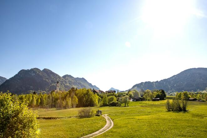 Ausblick vom Aussichtsturm im Berger Moos