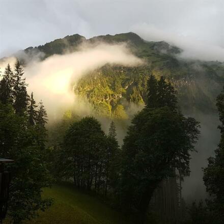 Gasthof Cafe Alpenwald Mittelberg Sommer II