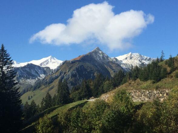 Gasthof Cafe Alpenwald Mittelberg Sommer I