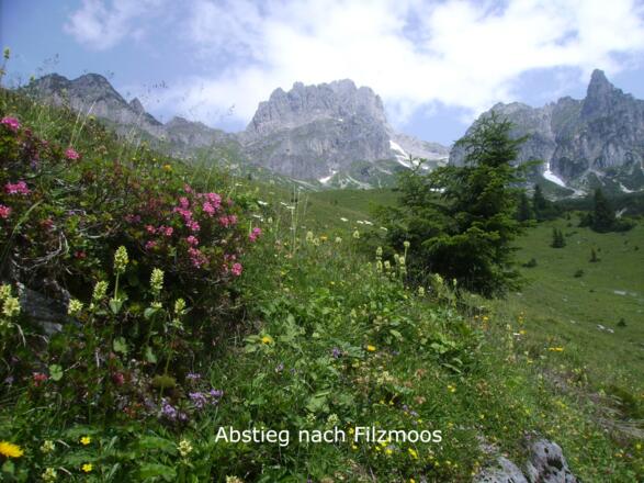 Dachstein
