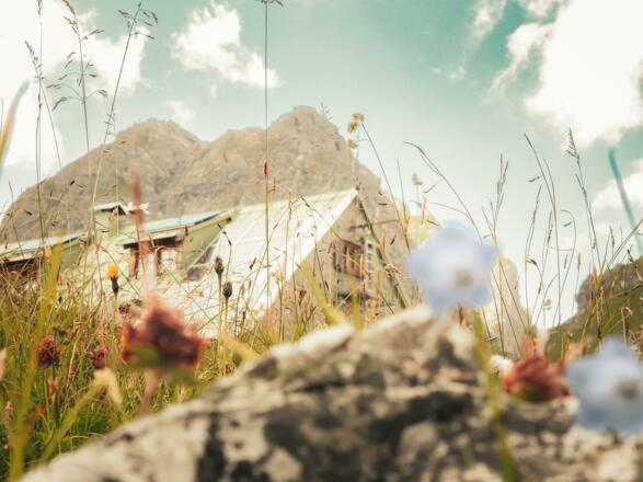 Mindelheimer Hütte Sommer