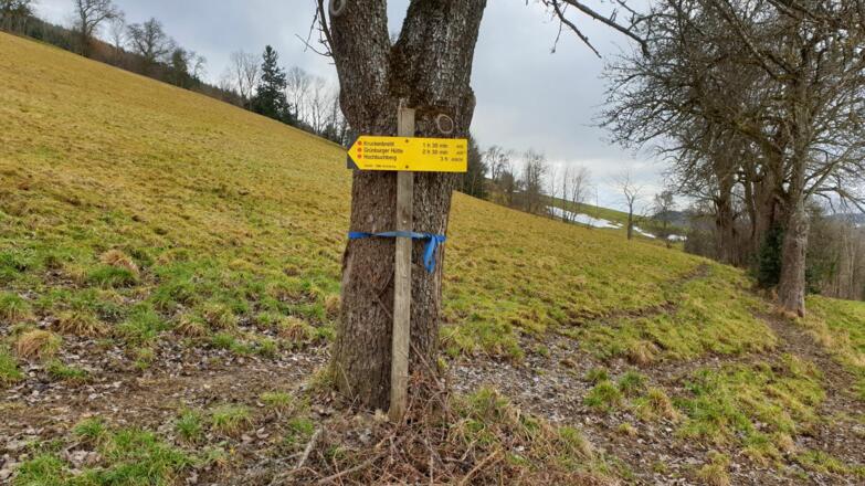 Markierungstafel weisen den Weg