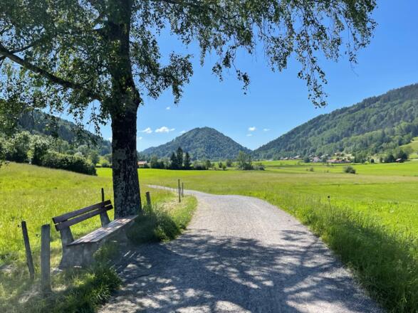 Ruhebank im Konstanzer Tal