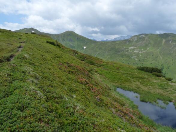 Lacken und kleine Seen begleiten uns entlang des Höhenweges.