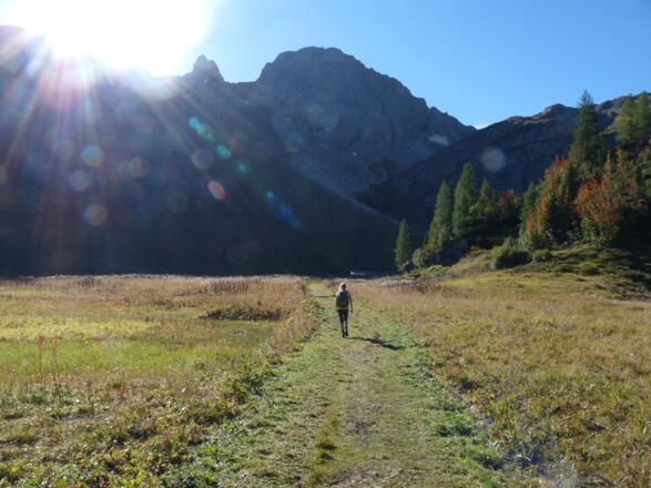 Genussreiche Wanderung über den Wiesenboden. Darüber thront der Rosskopf.