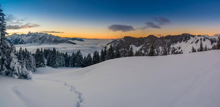 Traumhaftes Winterbild